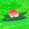 SMS Screenshot Flower.png