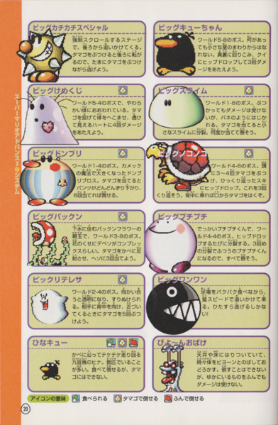 File:Advance 3 Shogakukan P20.png