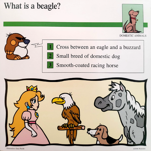 File:Beagle Quiz Card.png