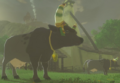 Thumbnail for version as of 00:19, May 30, 2025