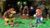 Bottles in Spiral Mountain stage SSBU.jpg