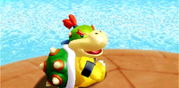 Bowser jrs revenge.png