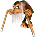 Donkey Kong Country 2: Diddy's Kong Quest
