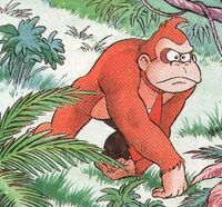 DKC CN1.jpg