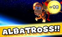Diddy albatross.jpg