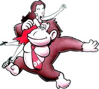 Dkpauline gameboy.jpg