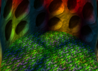 Fungi Forest (mushroom room).png