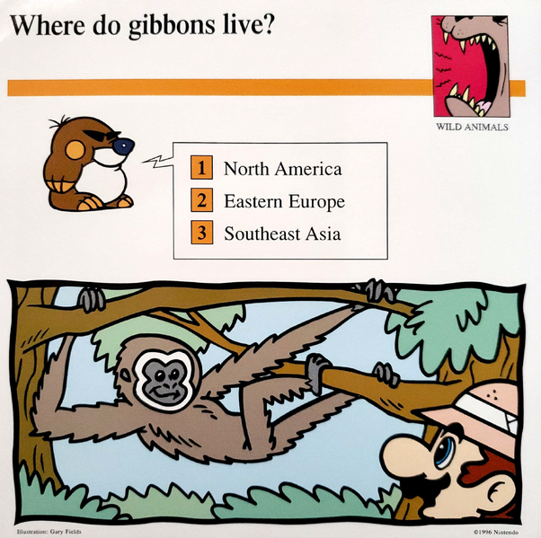 File:Gibbons Mario Quiz Card.png