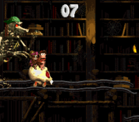 Green Kackle DKC2 screenshot.png