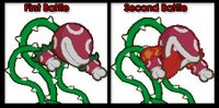 Lavapiranhadifferences.jpg