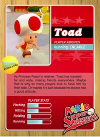 Level1 Toad Back.jpg