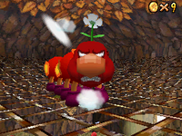 M64DS Wiggler.PNG