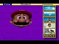 MTT Mario's face.jpg