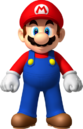 The plumber