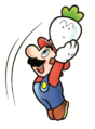 Super Mario Bros. 2