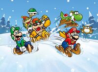Mario winter artwork differences 1.jpg