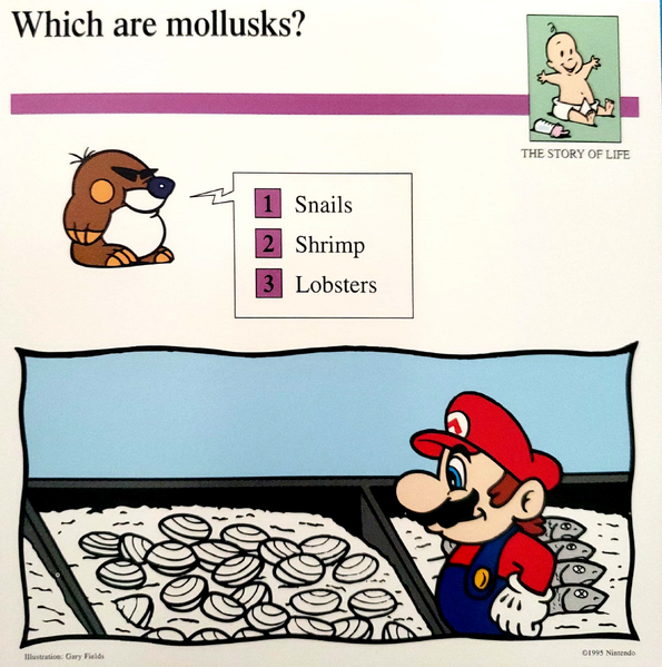 File:Mollusks Mario Quiz Card.png