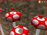Mushrooms with coins.jpg