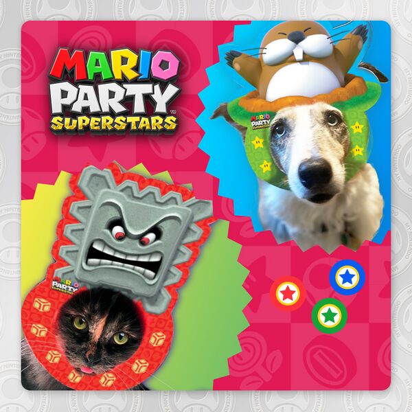 File:My Nintendo MPS pet party masks Thwomp Monty Mole.jpg