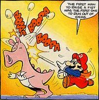 NCS Birdo1.JPG
