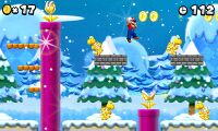 NSMB2 screen3.jpg