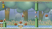 New Super Mario Bros. Wii