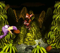 Necky's Revenge.png