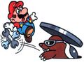 Nintendo Power (Super Mario Bros. 3 guide)