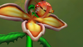 Thumbnail for version as of 00:20, May 30, 2025