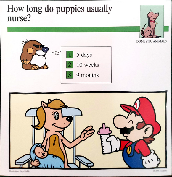 File:Puppy nursing Quiz Card.png