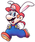 SML2RabbitMario.png