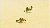 SMO Crab orange.jpg