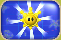 SMS Welcome Video Shine Sprite.png