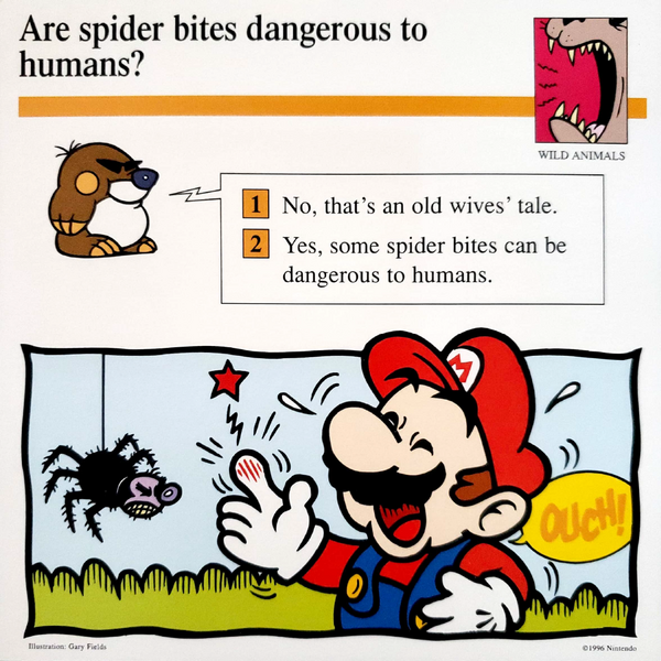 File:Spider bite Mario Quiz Card.png