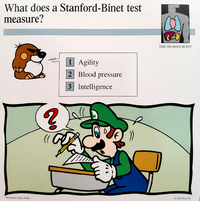 Stanford-Binet test Mario Quiz Card.png