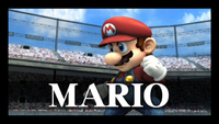 Pit and Mario catch their breath after defeating Link and Yoshi.
