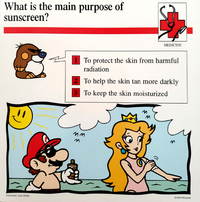 Sunscreen Mario Quiz Card.png