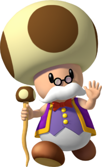 Toadsworth artwork -- Super Mario Sunshine.PNG
