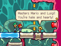 Toadworthml3.png