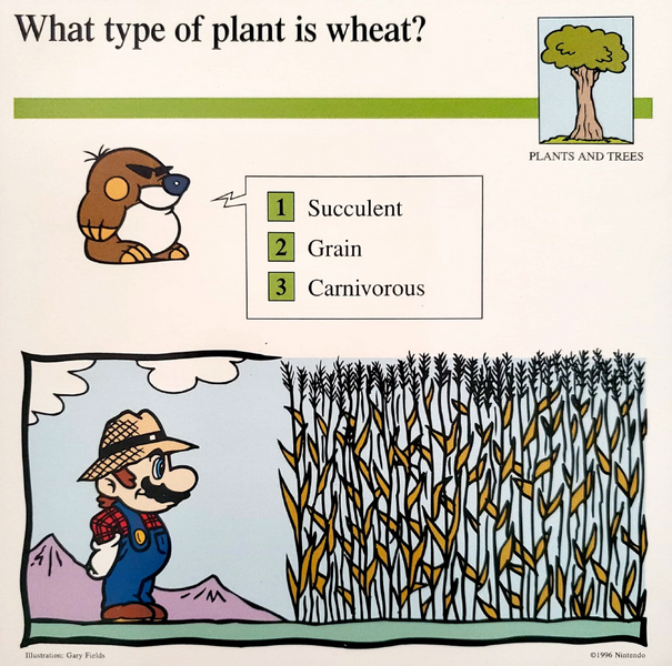 File:Wheat Mario Quiz Card.png