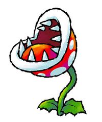 YIpiranhaplant.jpg